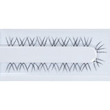 Refined Lashes